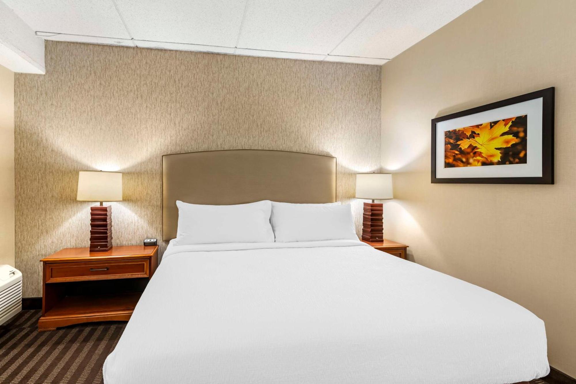Best Western Springfield Hotel Exterior photo